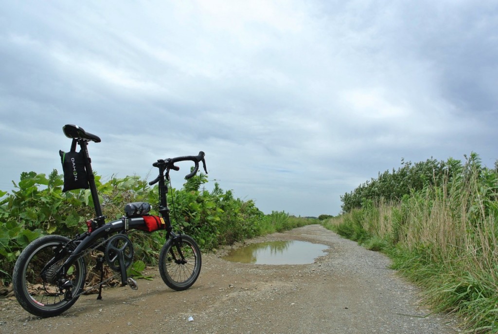 【話題の鰻屋さん大はしへ】折りたたみ自転車DAHONで輪行サイクリング!【牛久沼編】