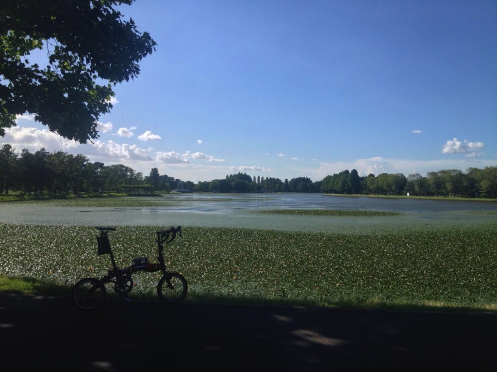 折りたたみ自転車DAHONで行く輪行しないサイクリング【暑さと強風に負けるな水元公園編】