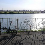 DAHON Curve D7で江戸川サイクリングロード海から14.25kmに行ってみた