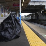 DAHON Curve D7で行く輪行サイクリング【境&五霞編】