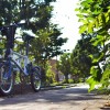 話題騒然の折りたたみ自転車Tyrell IVEに試乗してきましたよ!