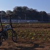 DAHON Curve D7で最もバランスの良いカスタマイズとは