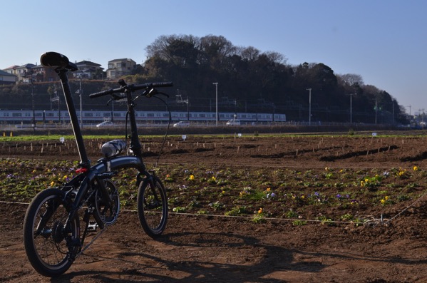 DAHON Curve D7で最もバランスの良いカスタマイズとは