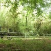 都会のオアシス花見川サイクリングロードへ行ってみよう!