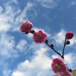 折りたたみ自転車を購入するときに考える唯一の大事なこと