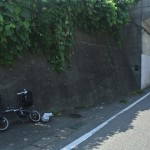 雪だるまの季節は終わった!自転車に乗ろう!サイクリストが自転車に乗らない毎月の理由