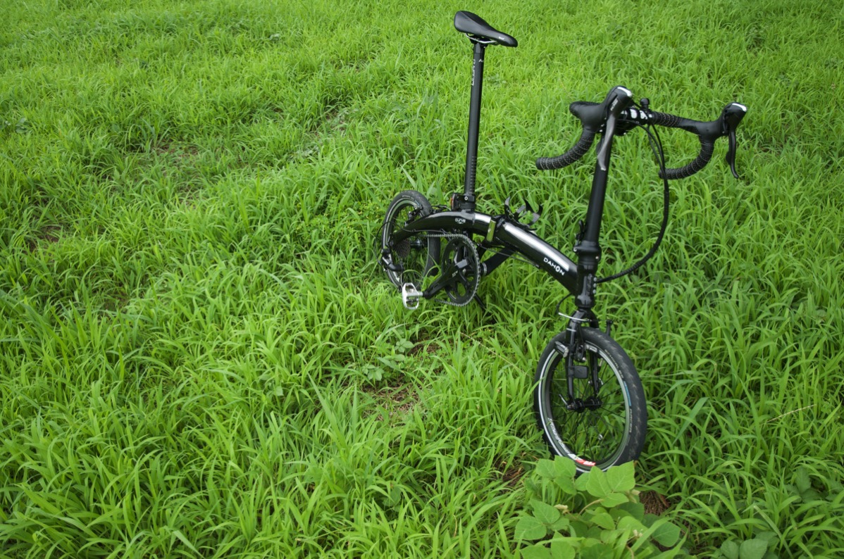 dahon d10