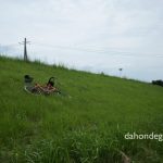 真夏に100kmのサイクリングをするときに考慮するべき5つのこと