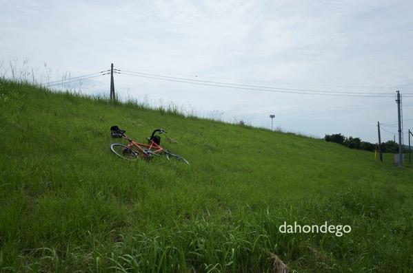 真夏に100kmのサイクリングをするときに考慮するべき5つのこと