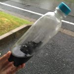 雨後の自転車掃除はこんなに大変!【折りたたみ自転車Tyrell FX大掃除】