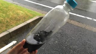 雨後の自転車掃除はこんなに大変!【折りたたみ自転車Tyrell FX大掃除】