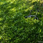 DAHON Curve D7を徹底改造した結果