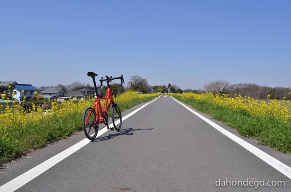 春はすぐそこ、サイクリングの準備をしよう!