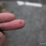 夜のサイクリングでパンクに見舞われた話