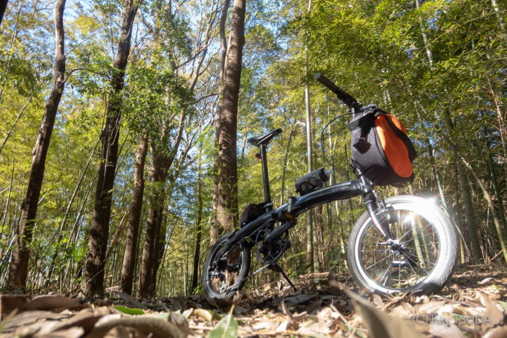 千葉県と世界の自転車ニュースをお届け!【2019年1月】