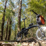 千葉県と世界の自転車ニュースをお届け!【2019年1月】