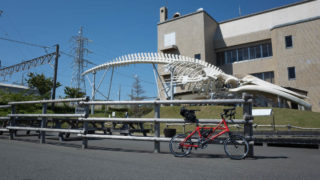 道の駅和田浦WA・O!大迫力!シロナガスクジラ模型と記念撮影をしよう!