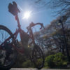 2019年折りたたみ自転車Tyrell FX購入ガイド