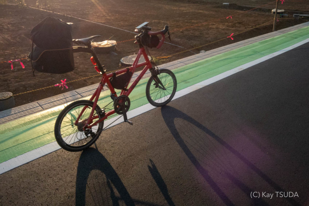 ウォーキング 自転車 どっち