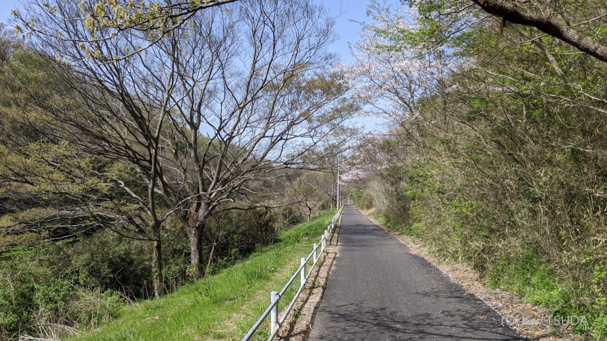Lets go cycling on the hanamigawa cr 9