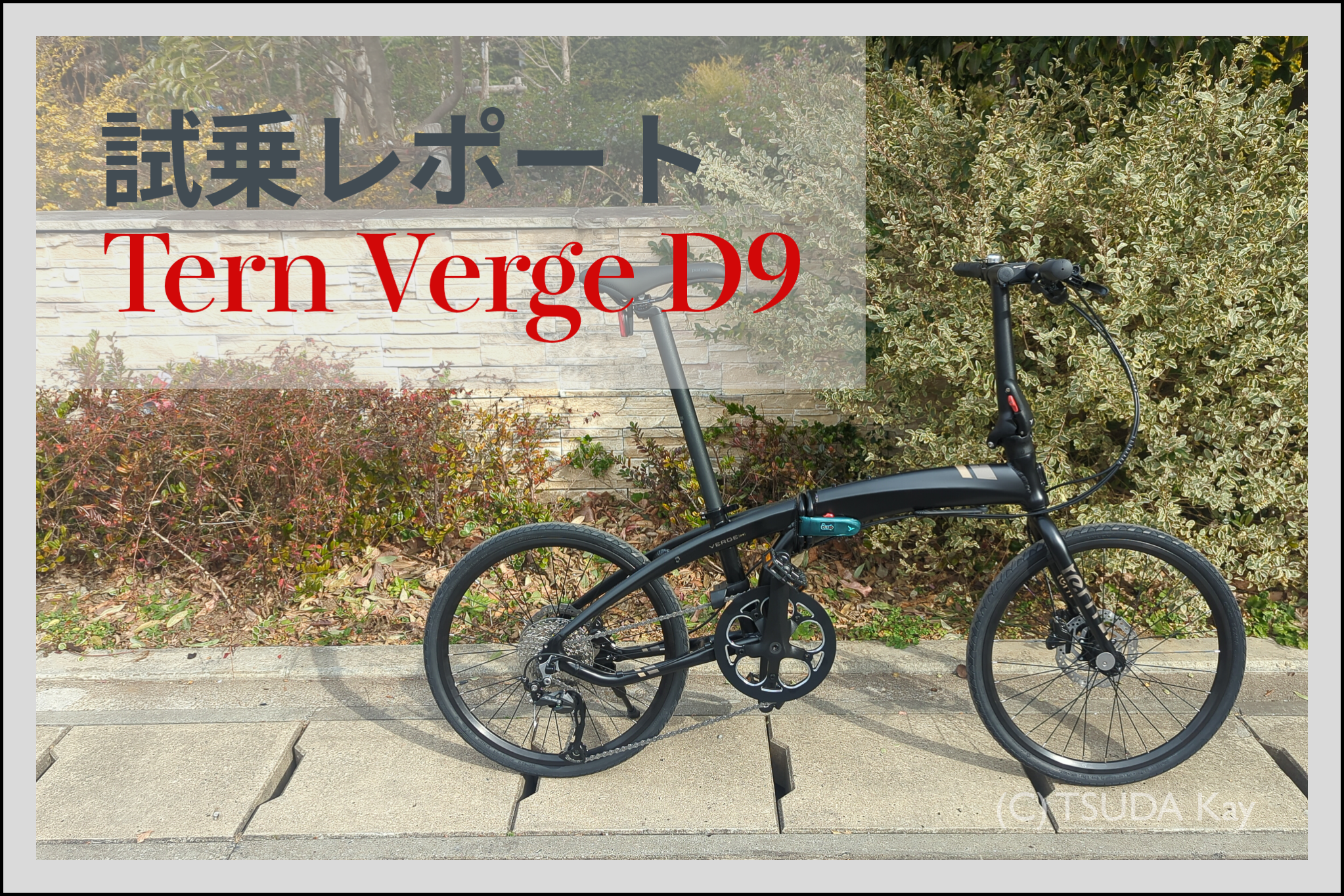I tried tern verge d9 2022 12