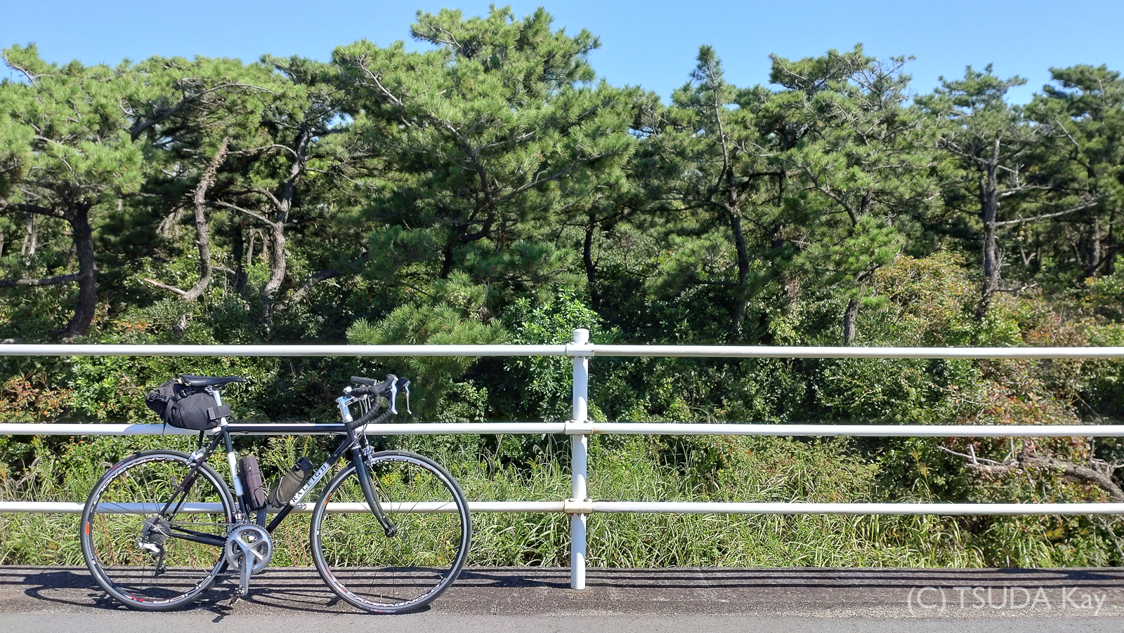 I cycled from mishima to shizuoka 26