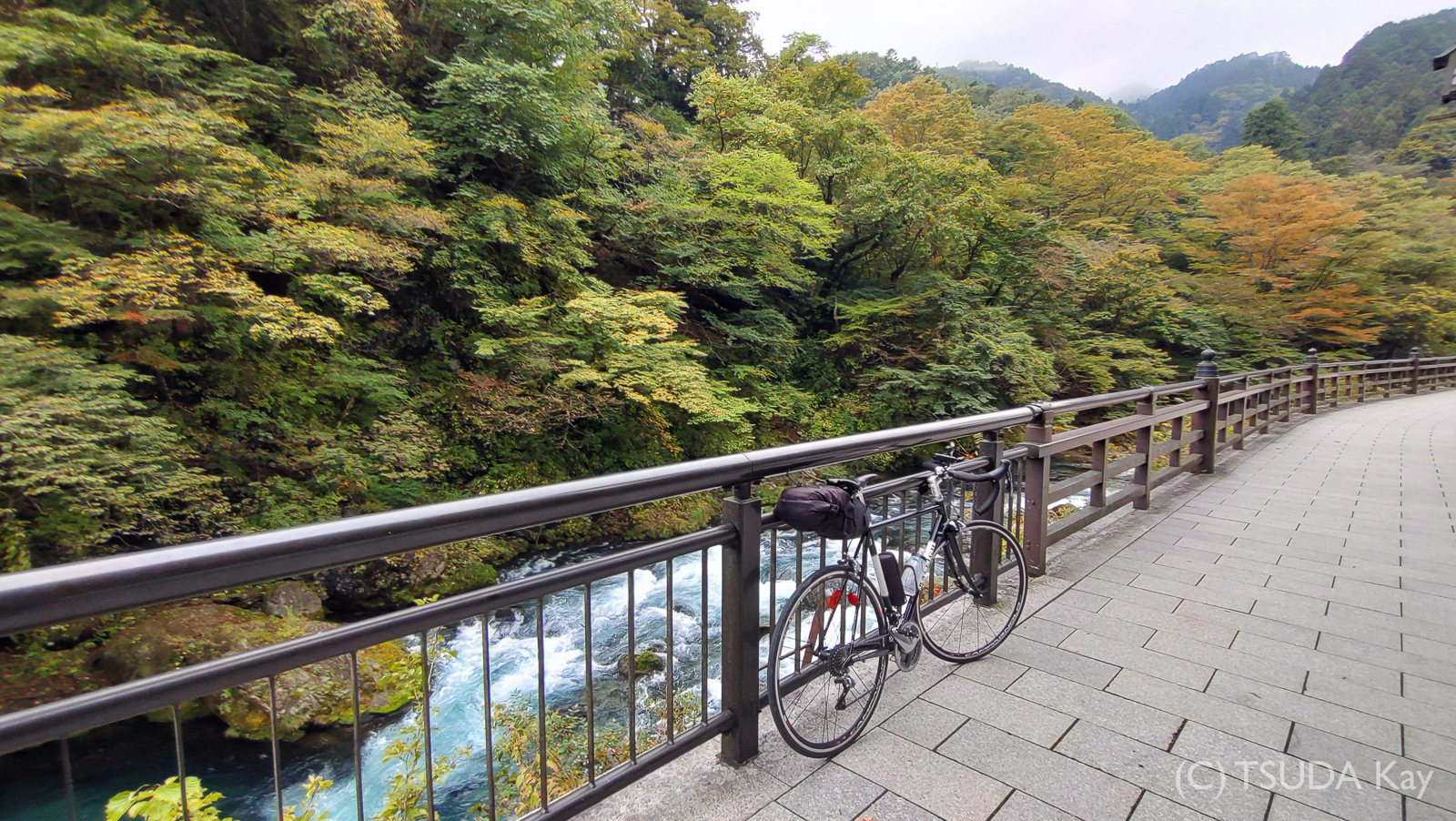 I cycled old nikko road 07