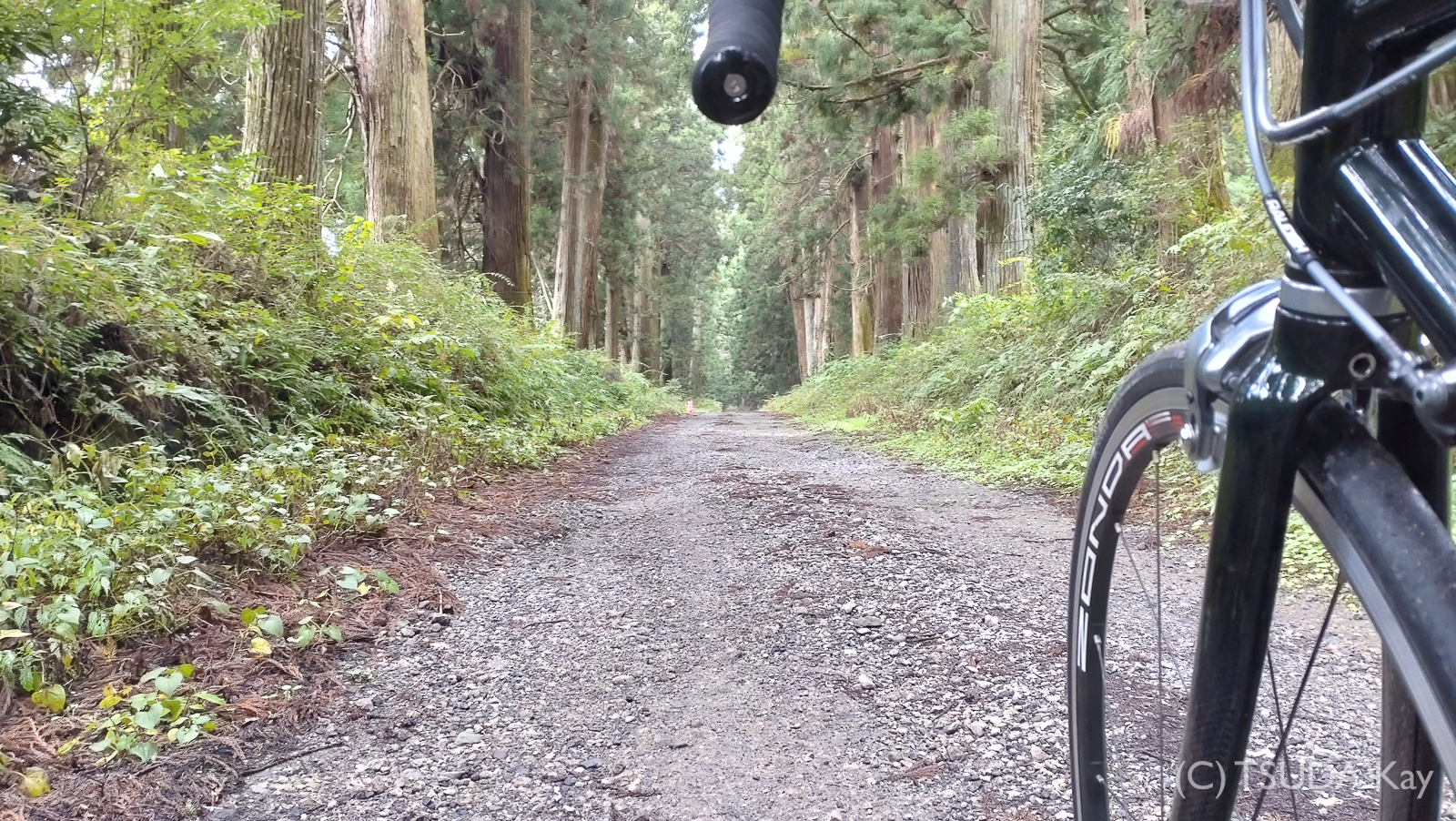 I cycled old nikko road 13