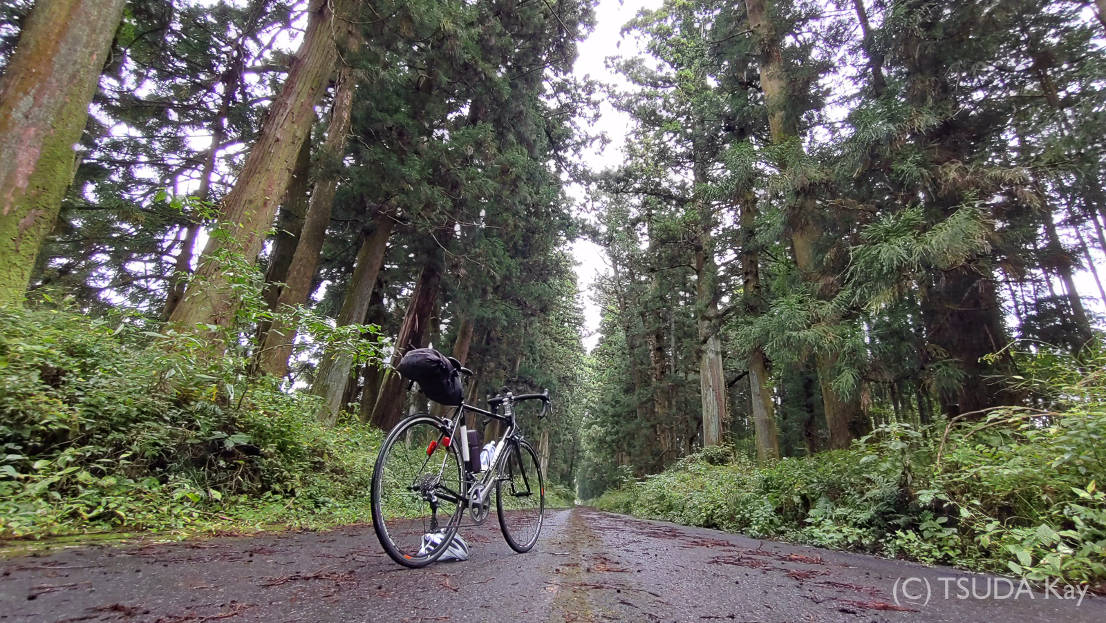 I cycled old nikko road 15