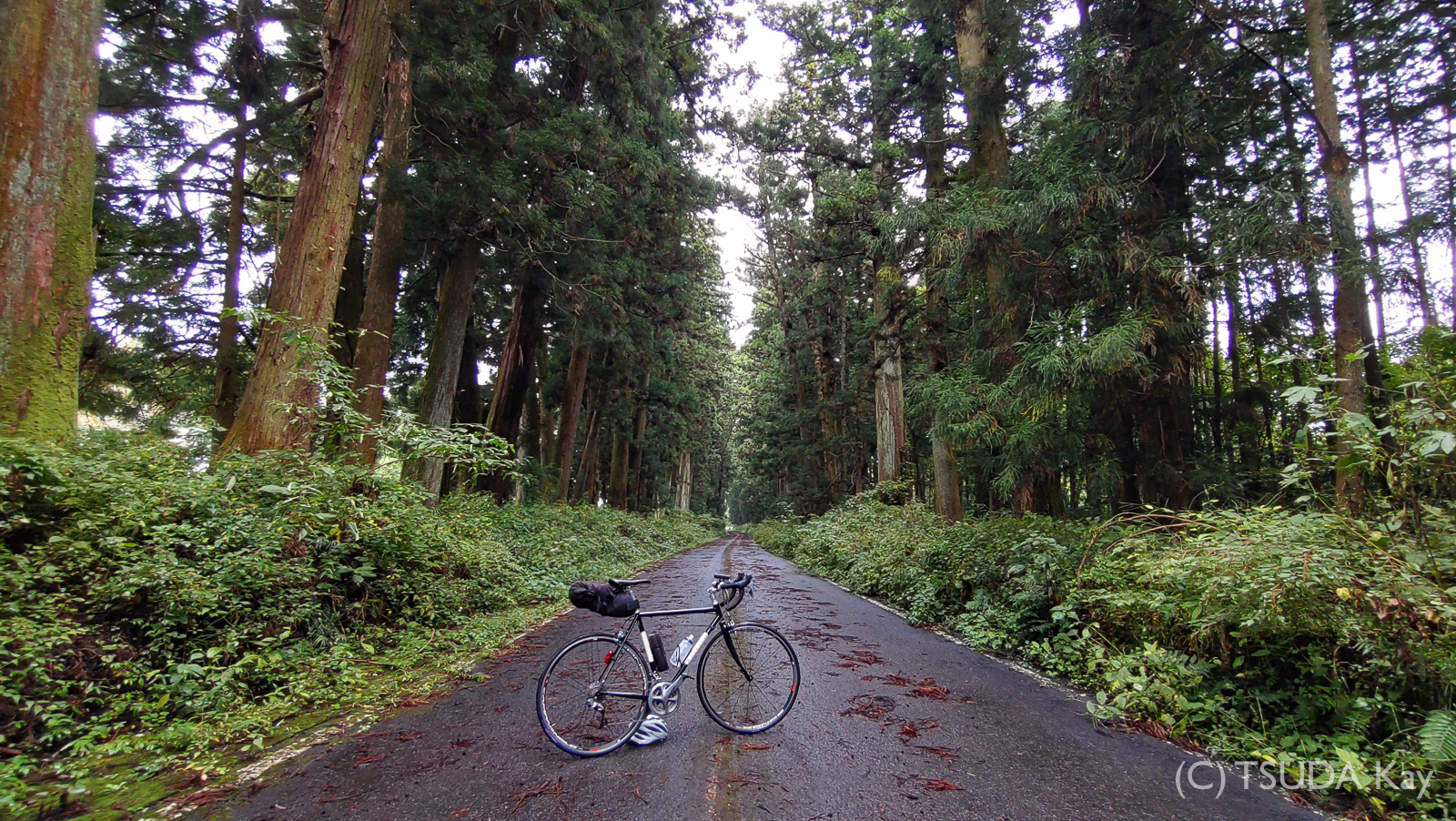 I cycled old nikko road 16