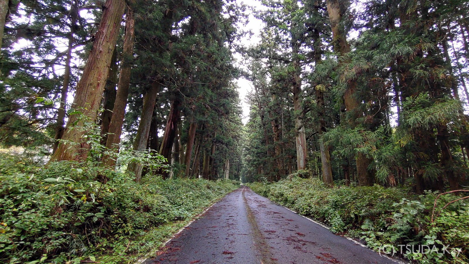 I cycled old nikko road 17