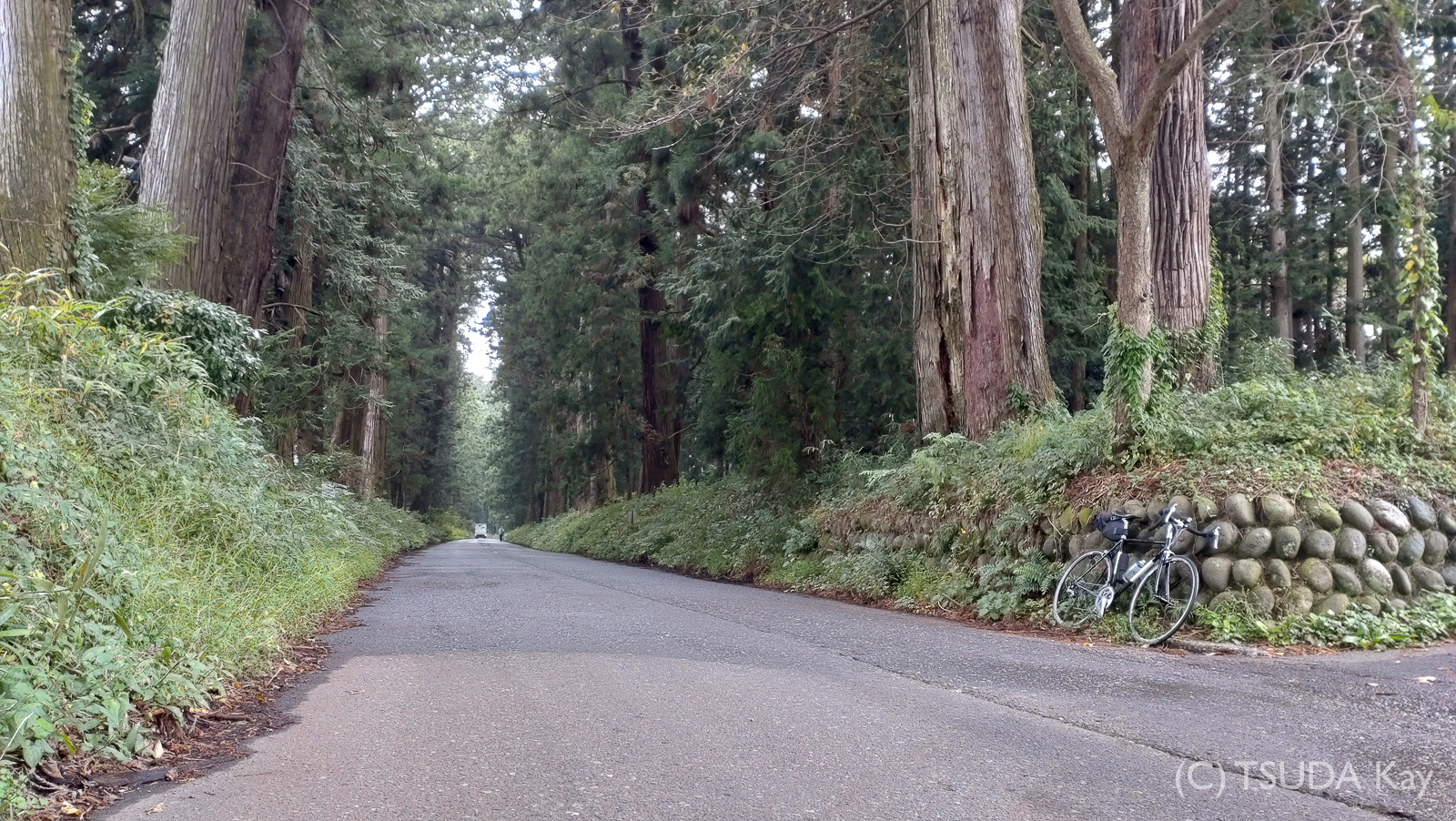I cycled old nikko road 19
