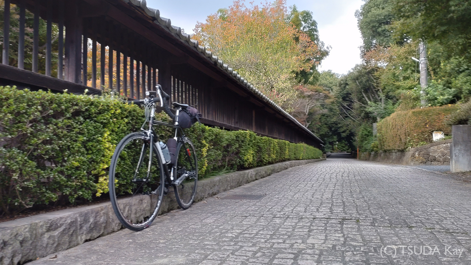 I cycled old nikko road 39