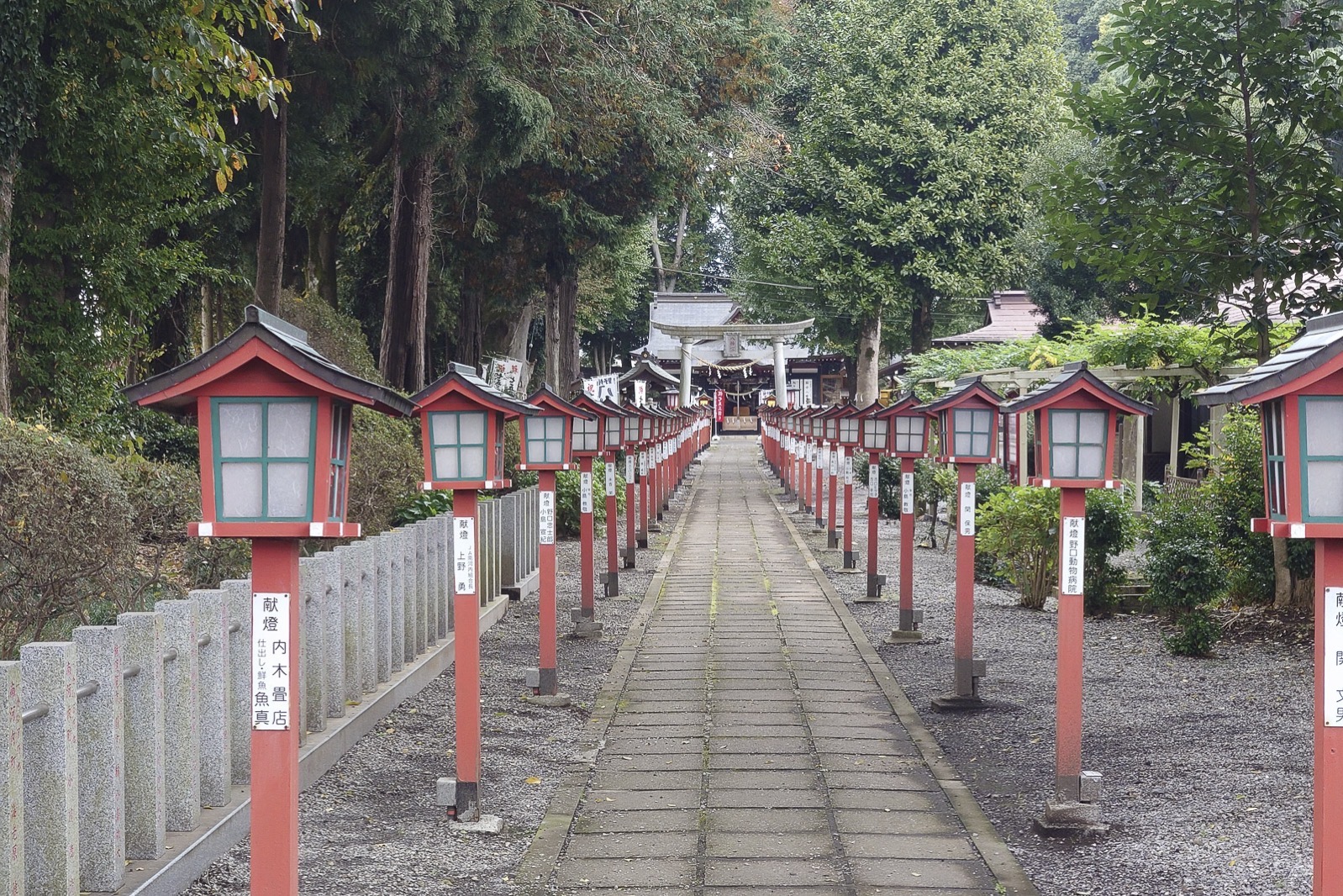 I cycled old nikko east return 31