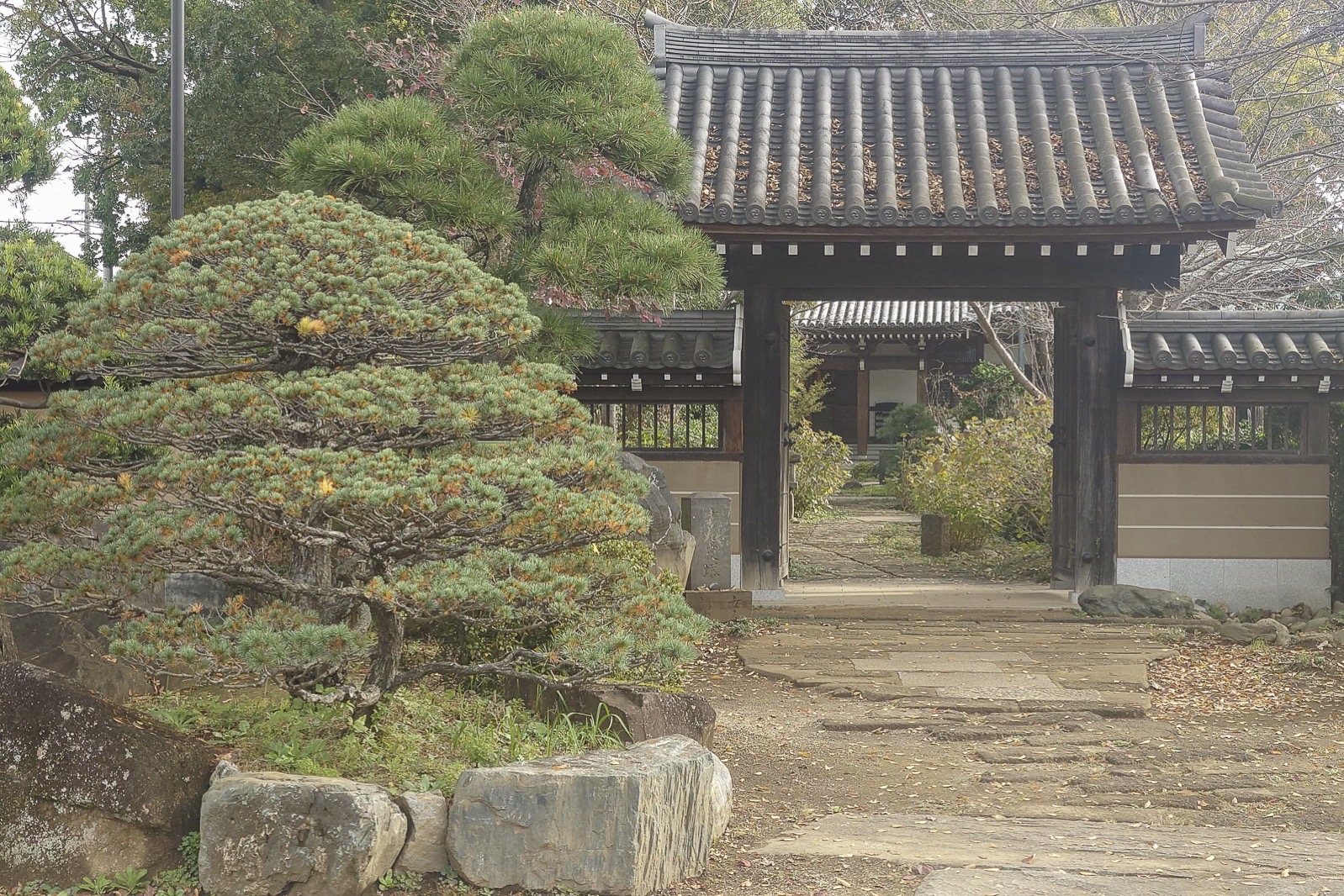 I cycled old nikko east return 8